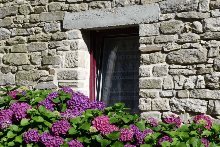 Photo n° 15 de la location