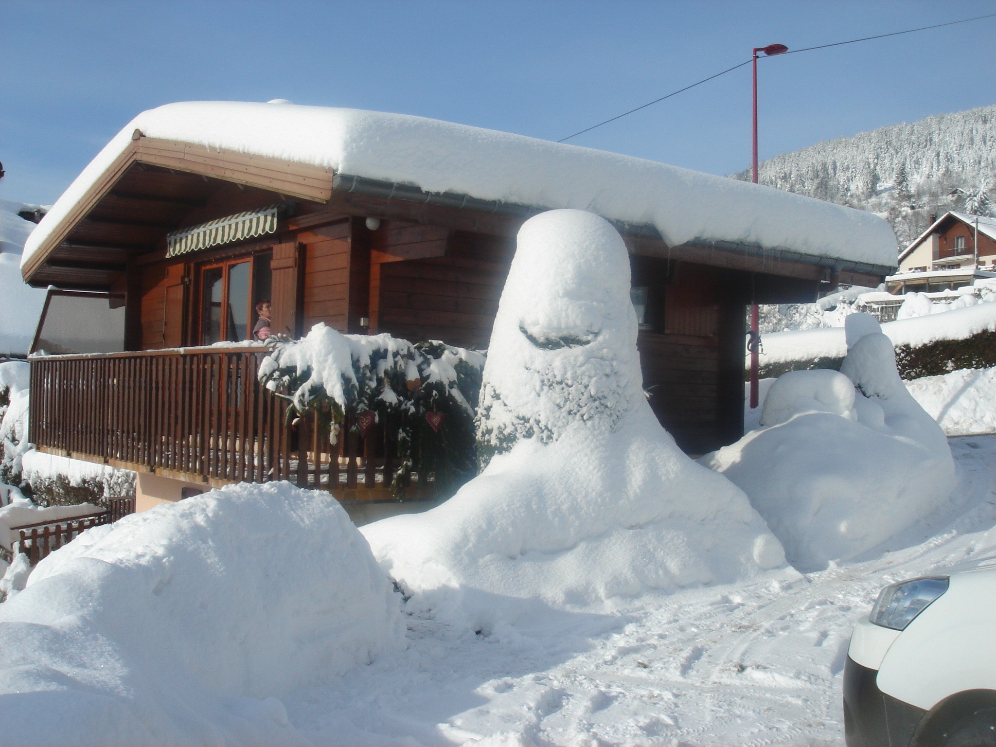 Le chalet en hiver - Chalet Nid Douillet
