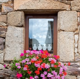 Image n° 2 de la location