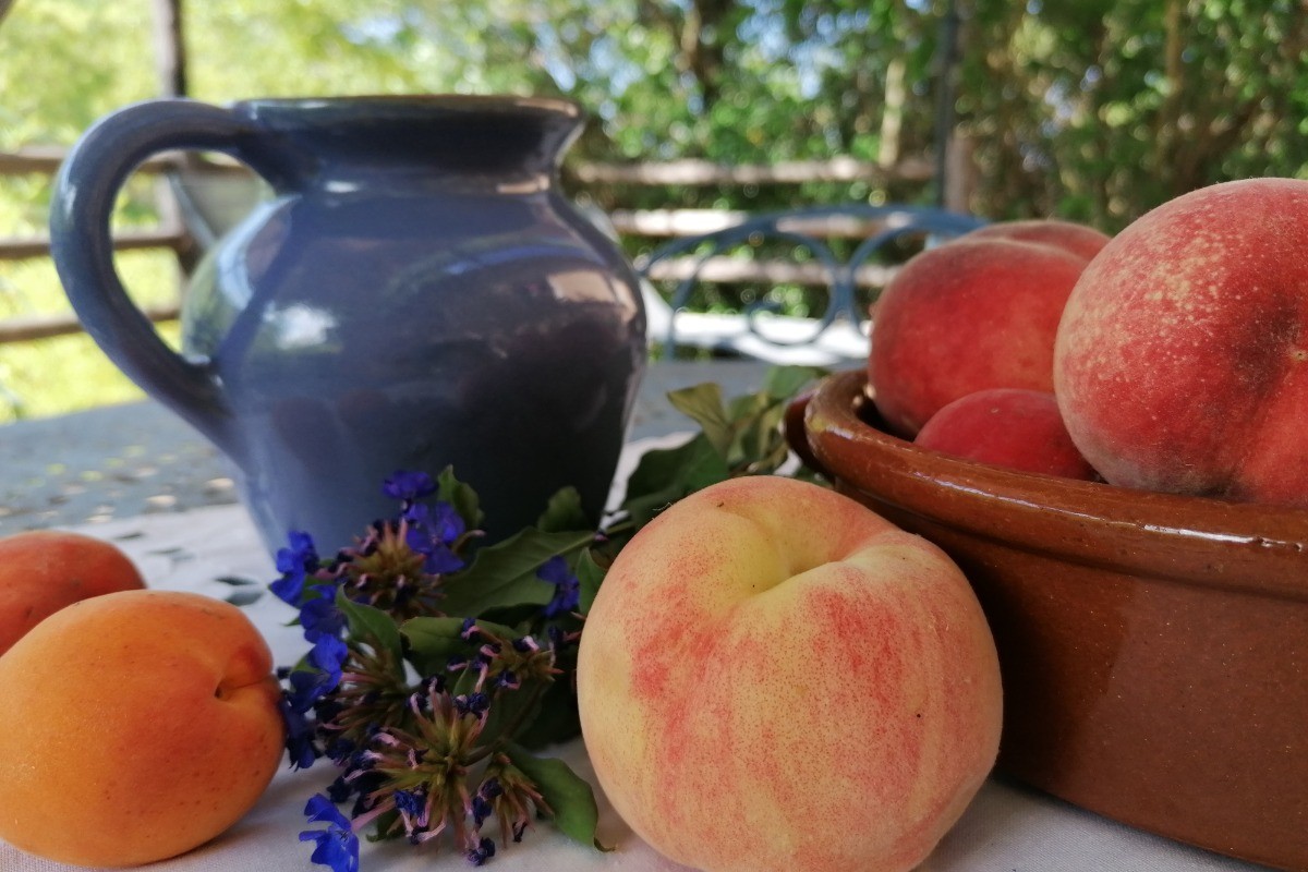 Photo n° 15 of the location