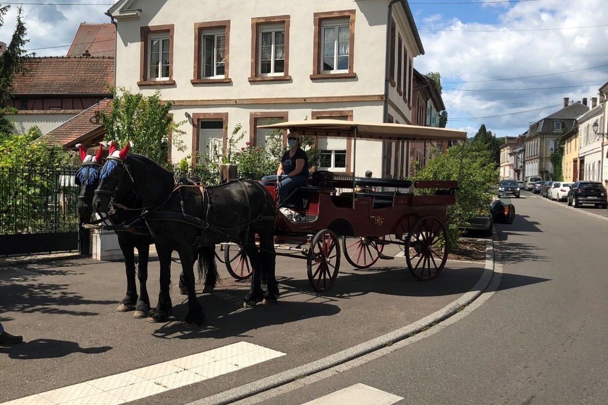 Gîte Chez Michèle et Christian en arrière plan