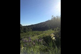 Vue à proximité