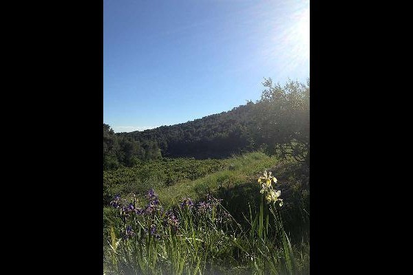 Vue à proximité