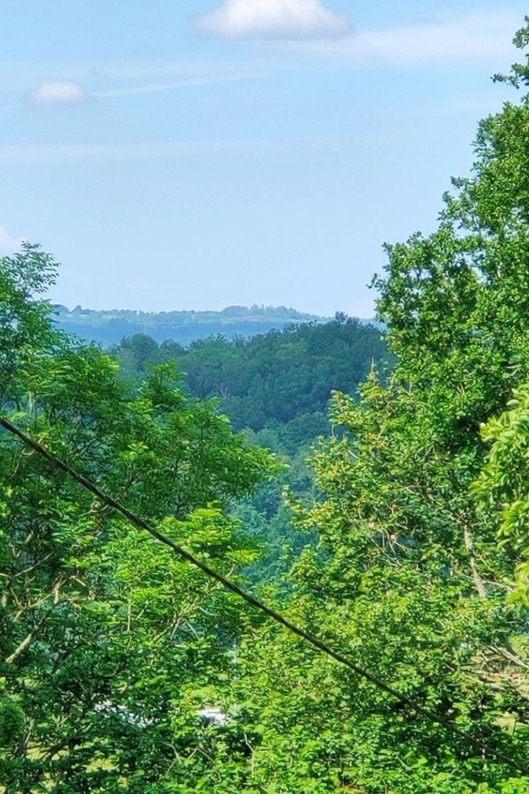 Photo n° 19 of the location