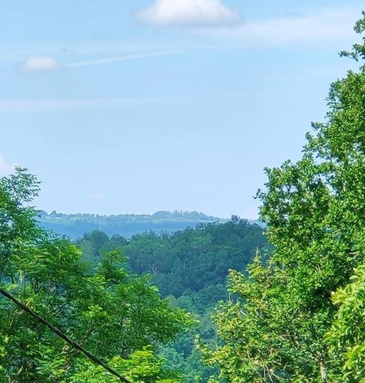 Photo n° 19 de la location