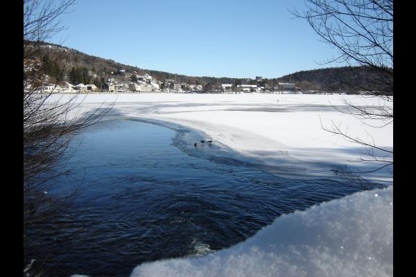 Les rives du lac gelé