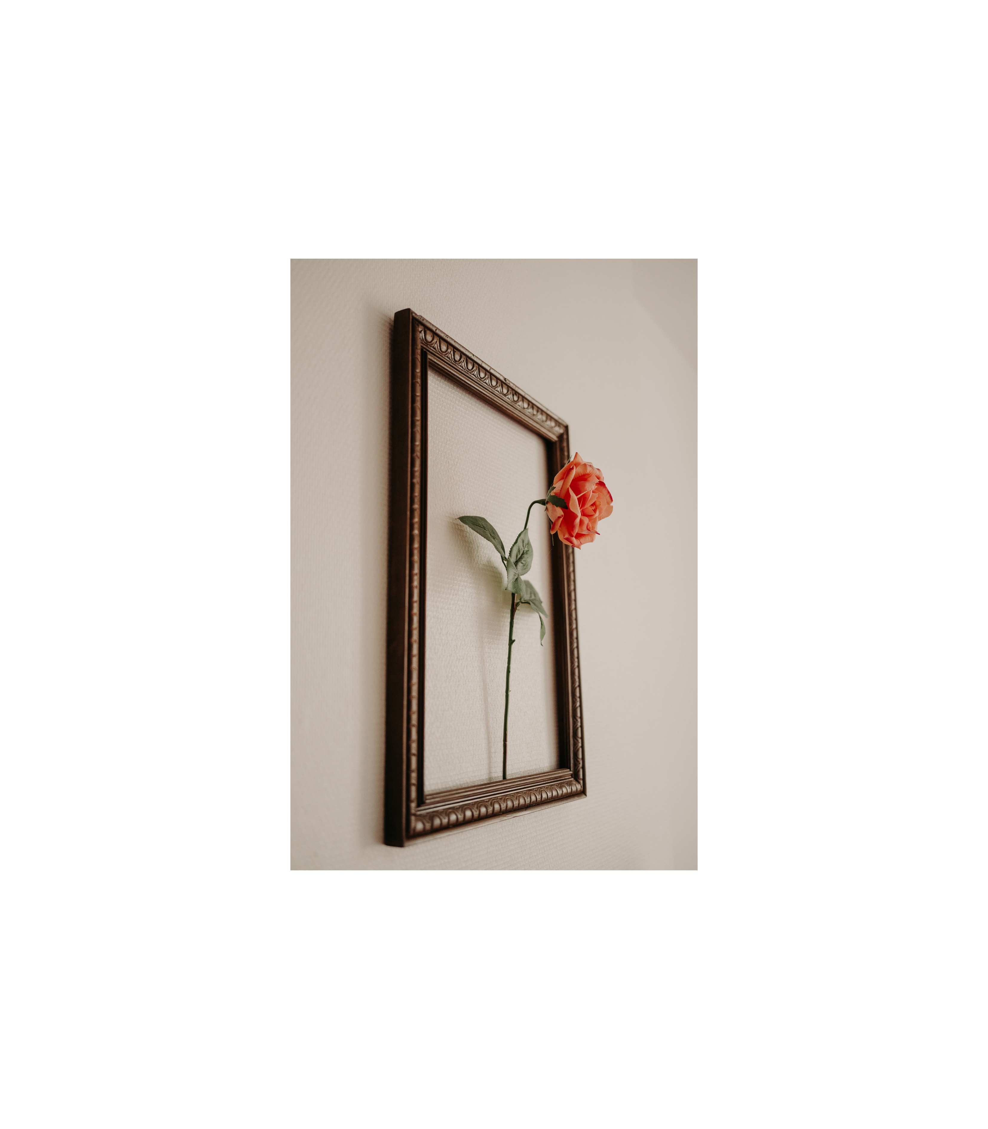 Photo n° 30 de la location