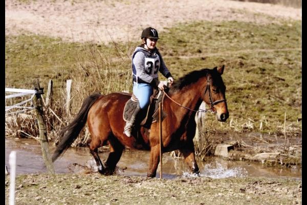 et pourquoi ne pas venir avec votre cheval ?
