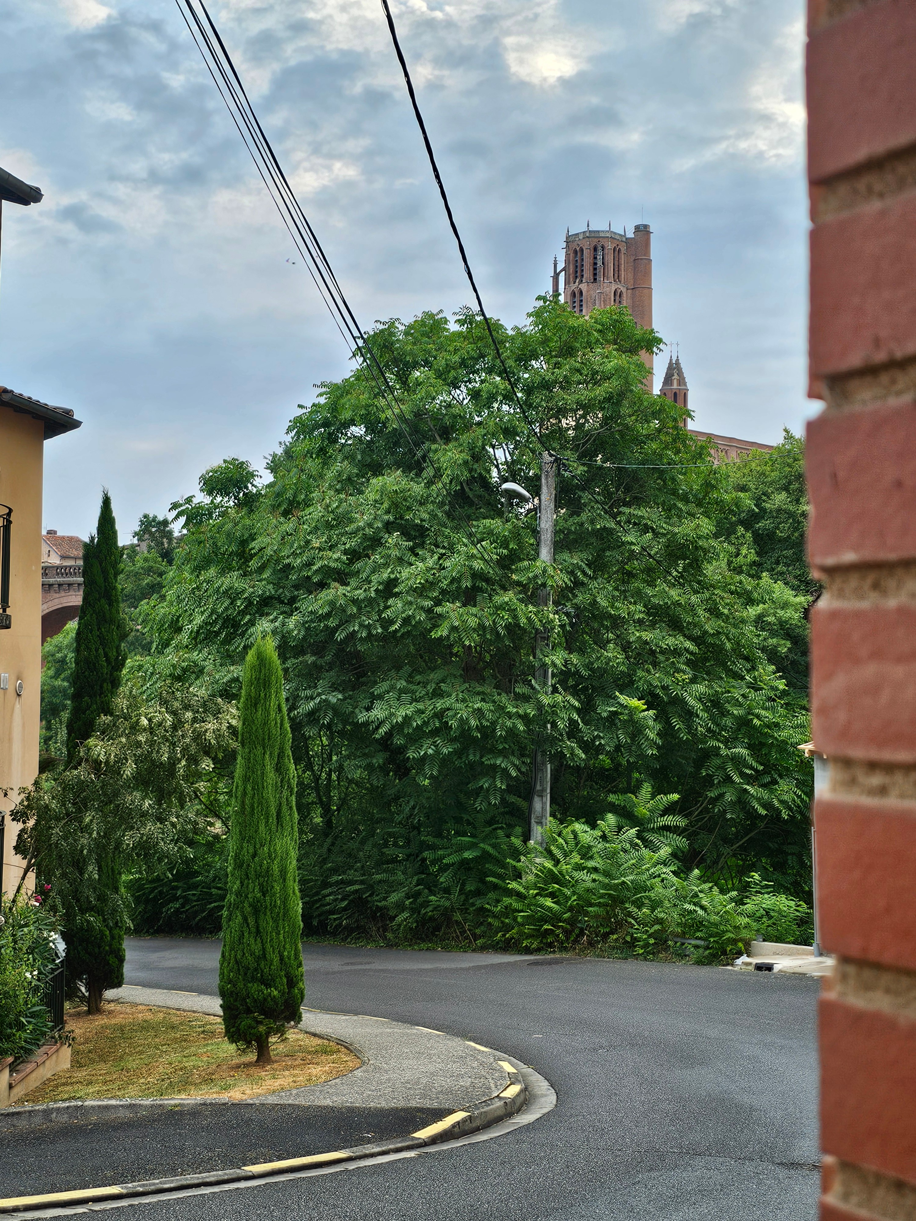 Gîte le Héron Bleu - Albi dans le Tarn en Occitanie - vue Cathédrale Sainte Cécile
