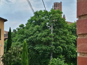 Gîte le Héron Bleu - Albi dans le Tarn en Occitanie - vue Cathédrale Sainte Cécile