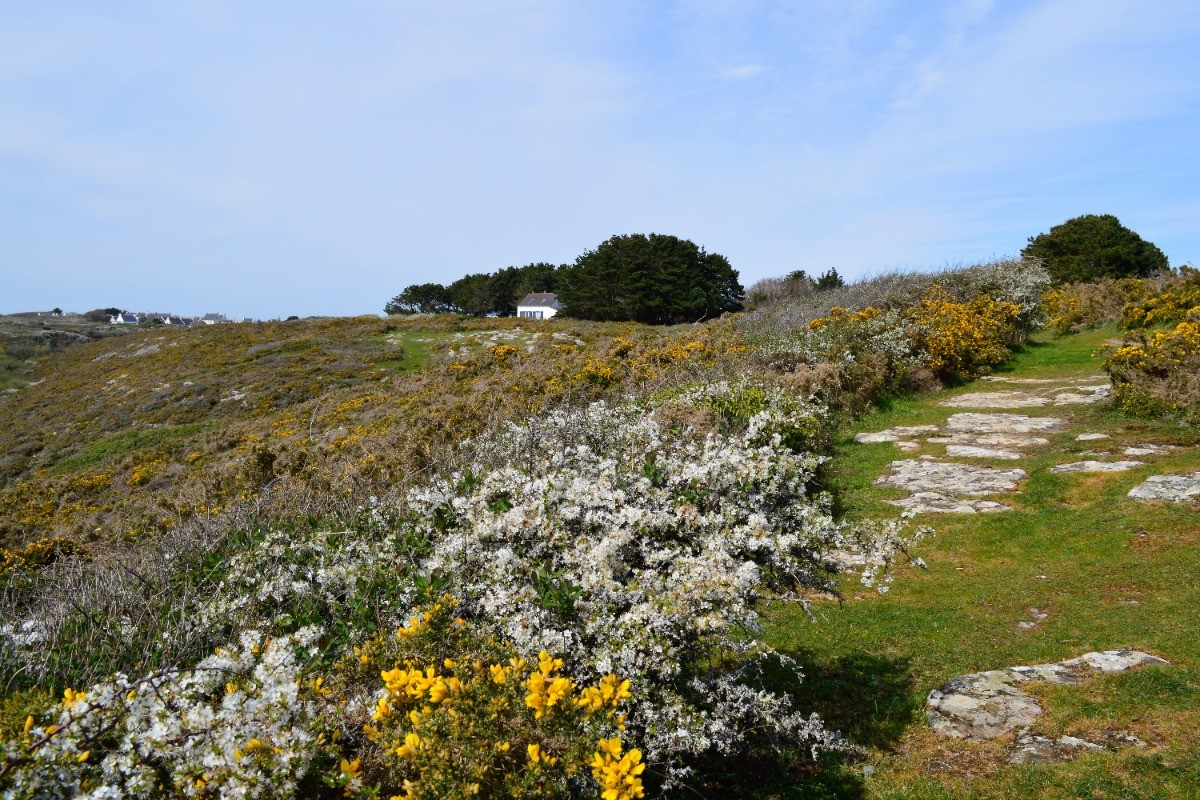 chemin proche de notre maison