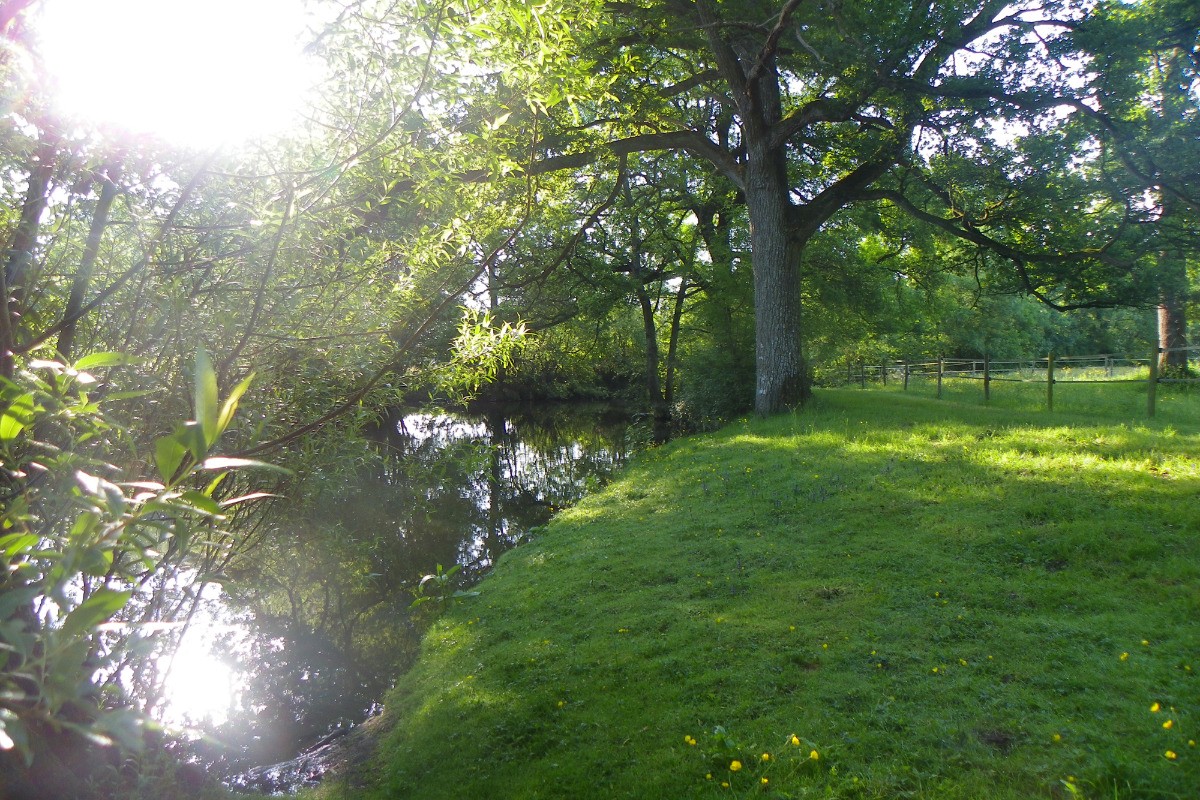 Repos au bord de l'Erdre en bas du jardin...