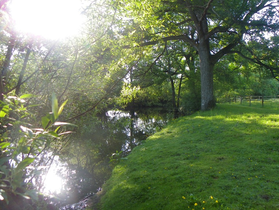 Repos au bord de l'Erdre en bas du jardin...