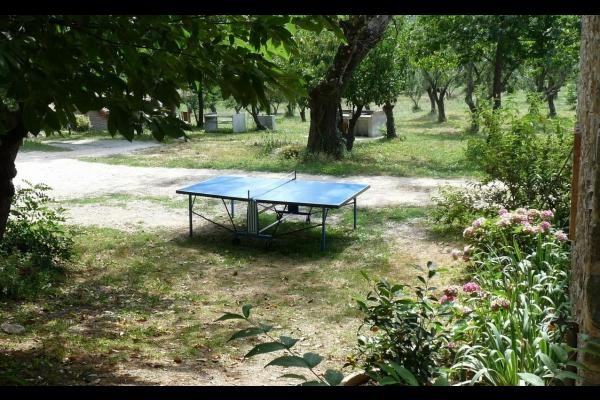 table de ping-pong