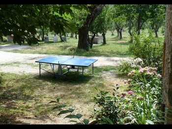 table de ping-pong