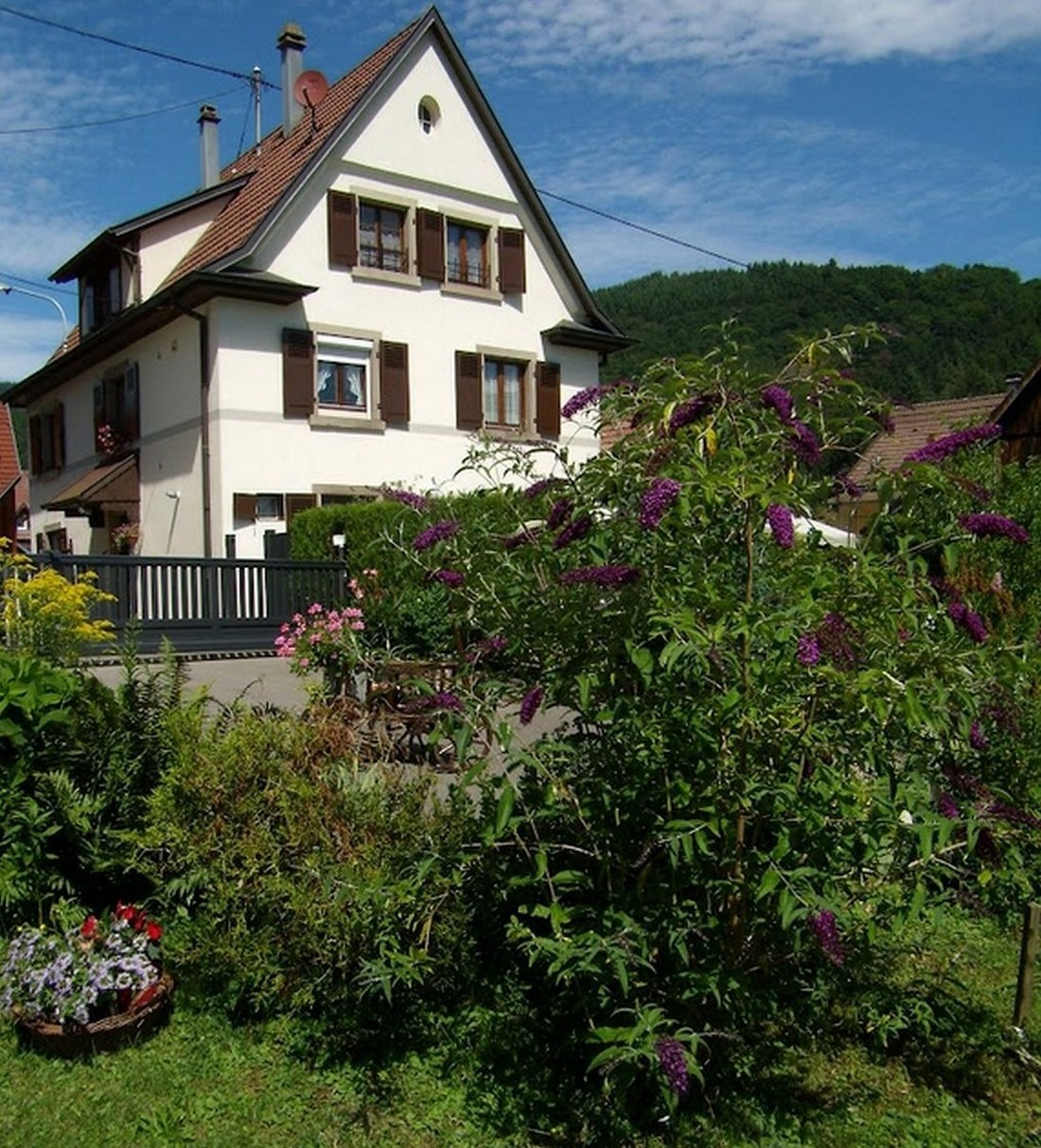 Photo n° 1 of the location