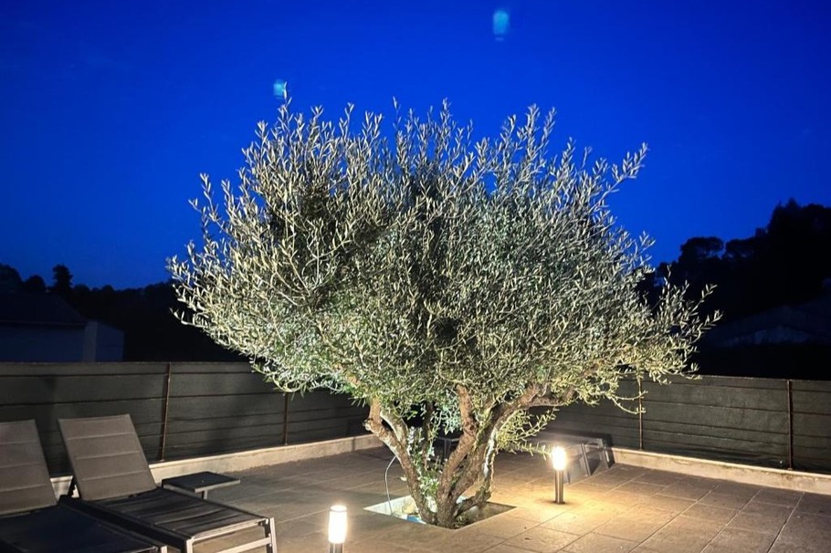 Photo n° 6 de la location