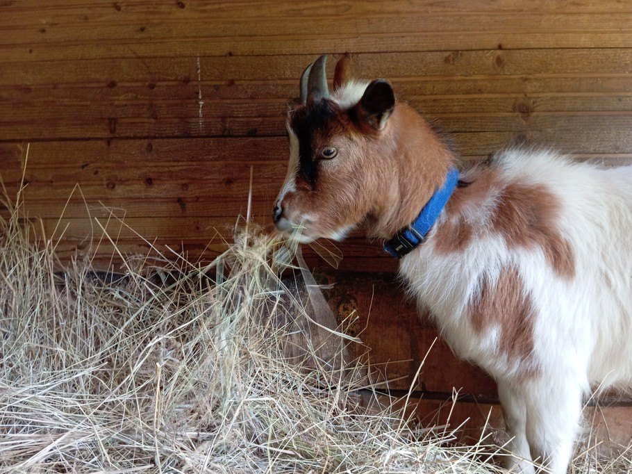 Photo n° 20 de la location