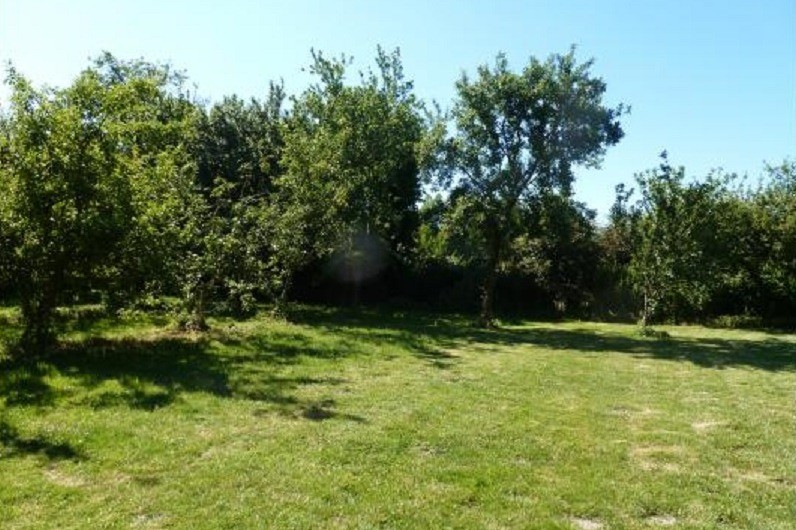 Le terrain et le verger