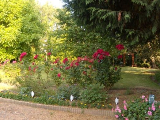 Photo n° 8 of the location