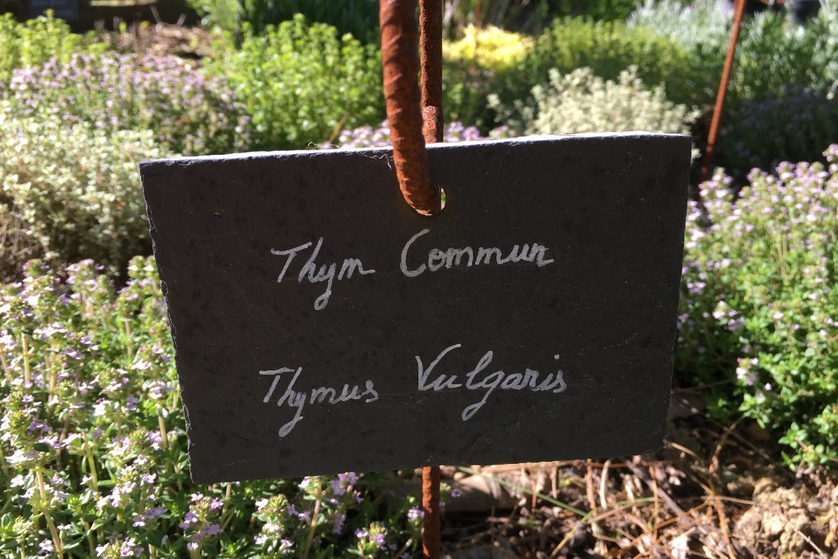 Le Coin des Aromates