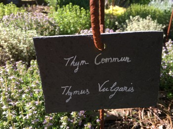 Le Coin des Aromates