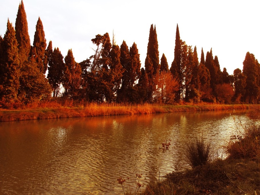 Photo n° 17 de la location