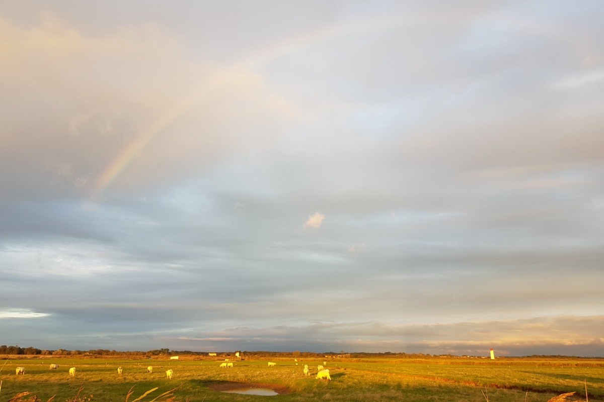 Photo n° 18 of the location