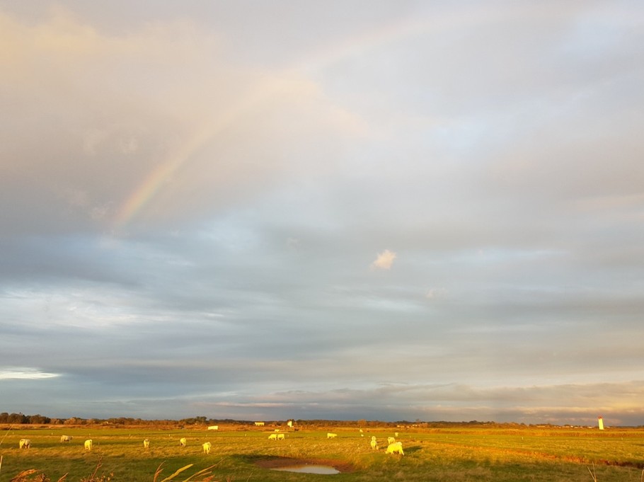 Photo n° 18 de la location