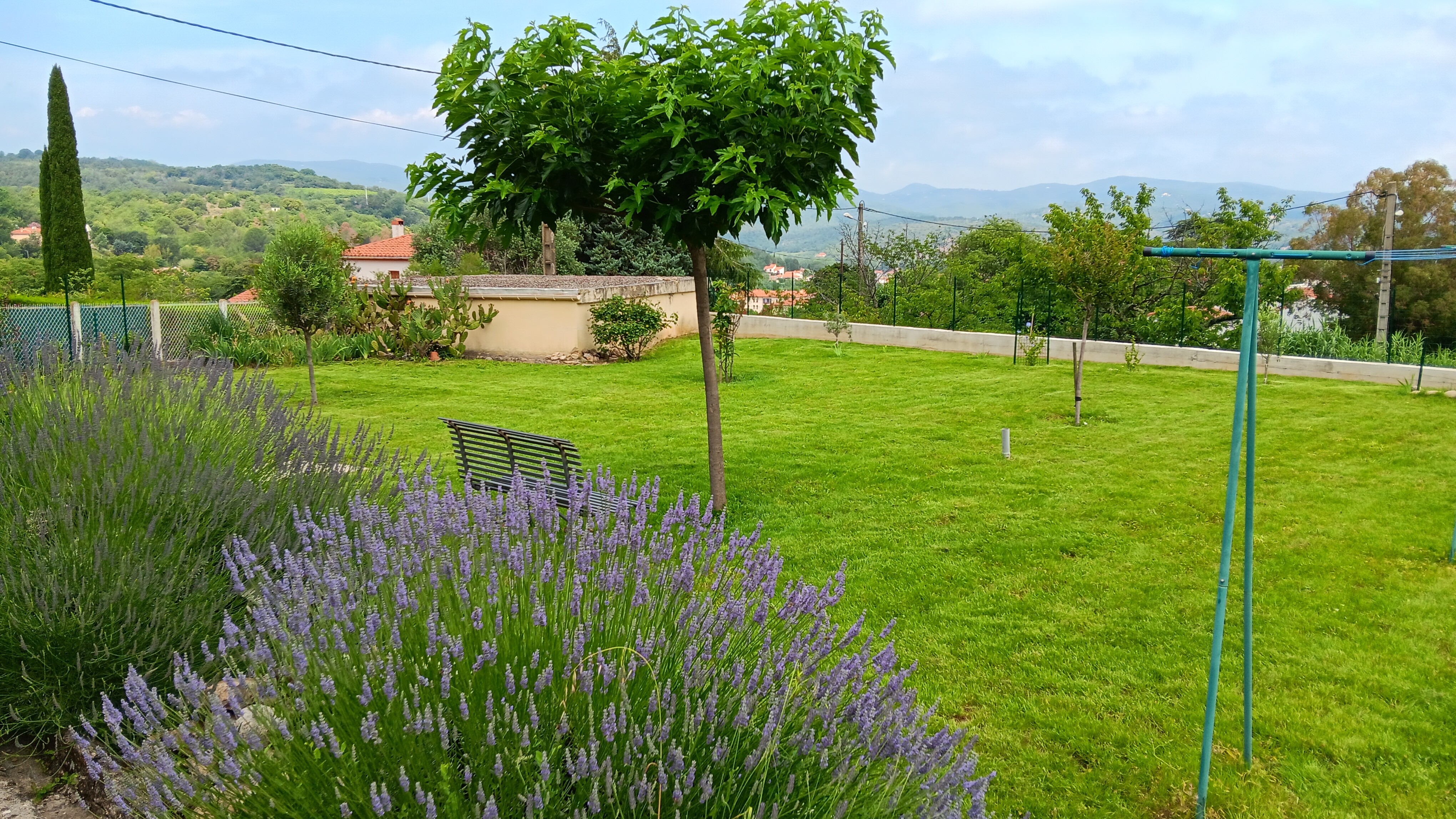 Jardin 4