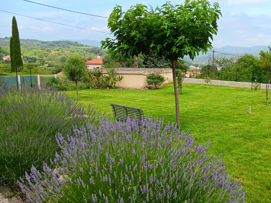 Jardin 4