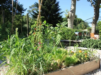Potager