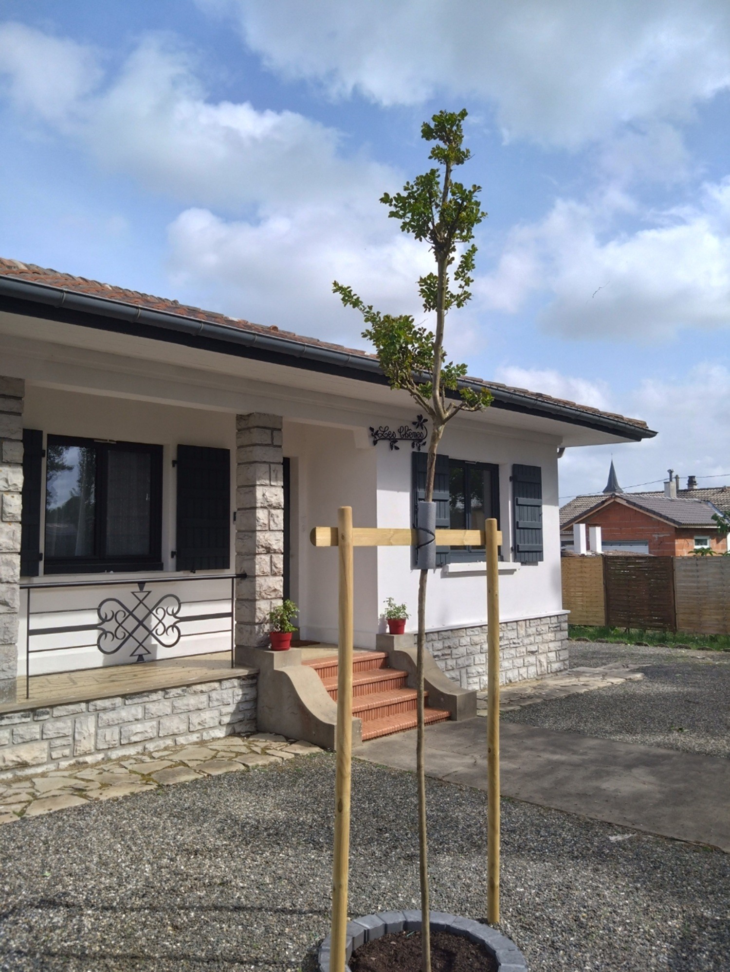 Front of the house with recently planted trees