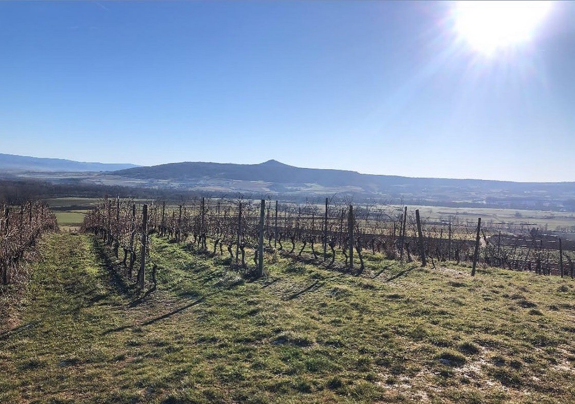 Photo n° 12 de la location