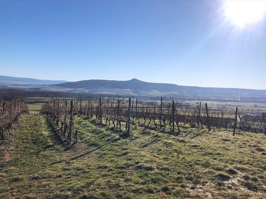 Photo n° 12 de la location