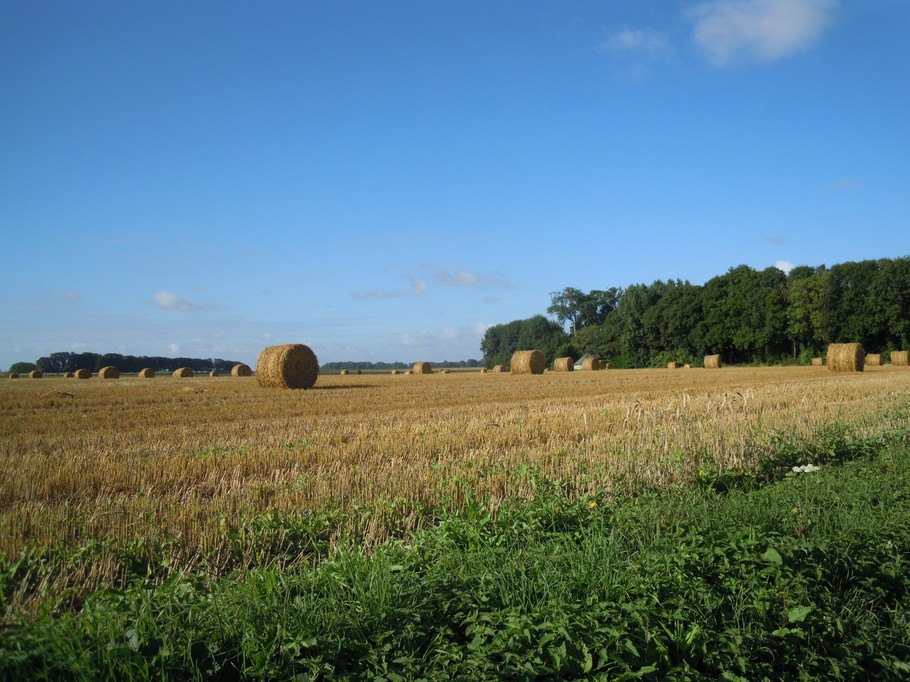 Photo n° 16 de la location