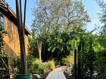 Photo n° 5 de la location