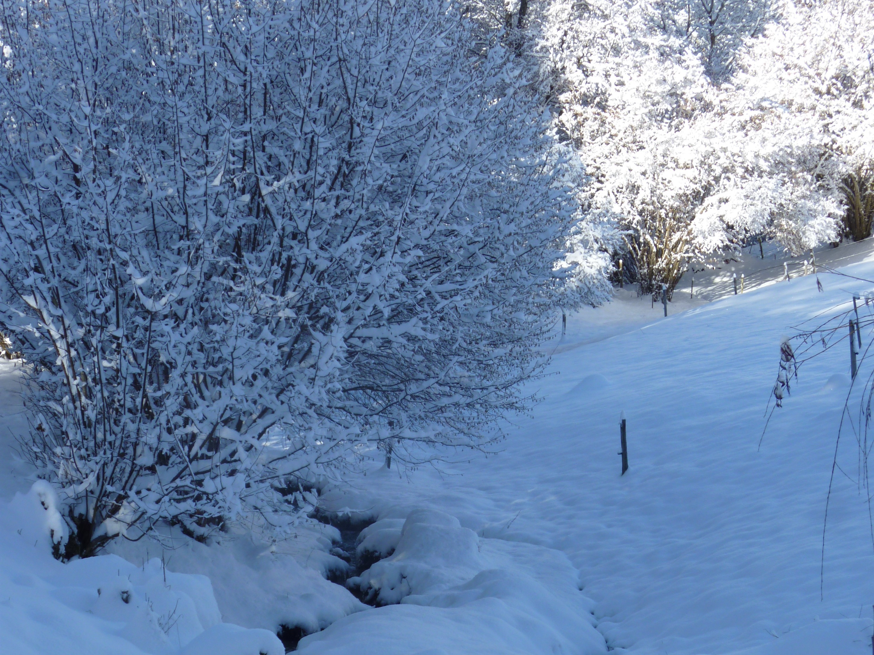 Photo n° 10 of the location