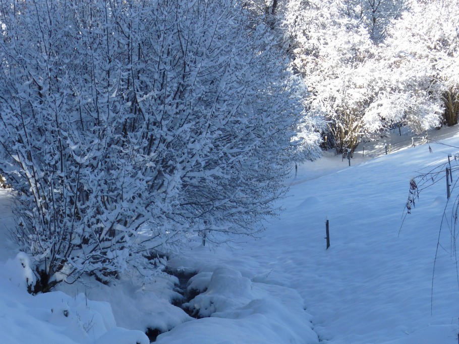 Photo n° 10 of the location