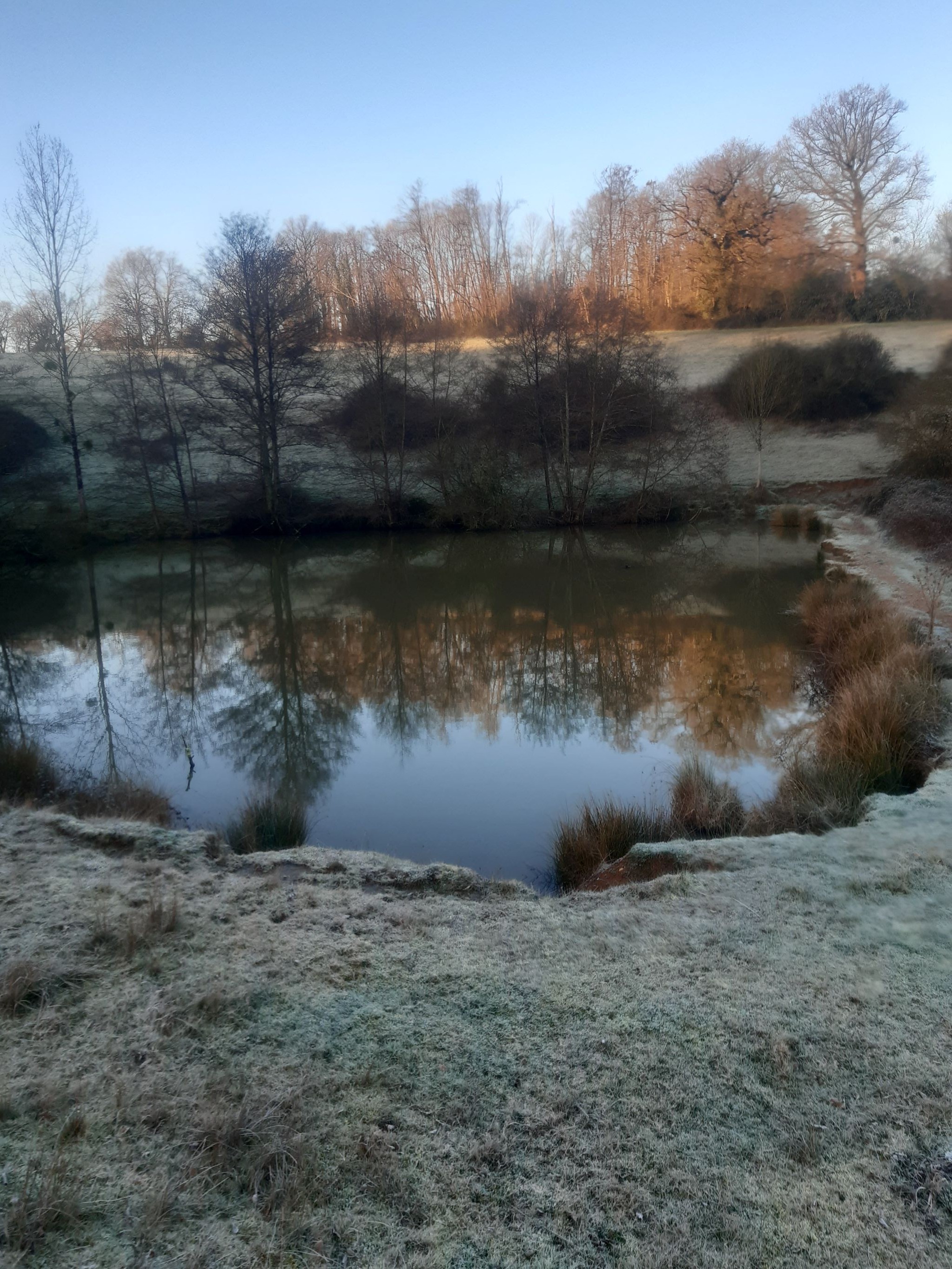 Etang de Millac, Vienne