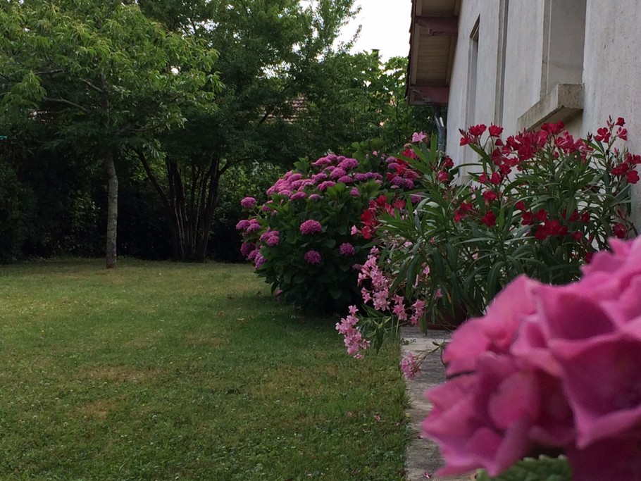 arrière de la maison