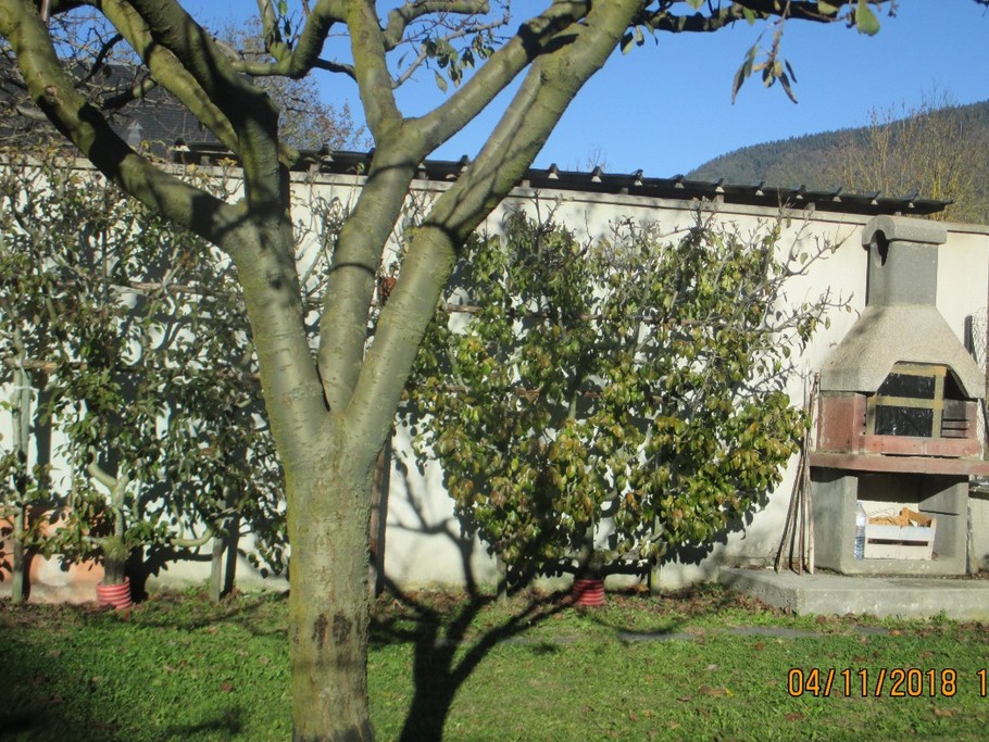 Photo n° 14 of the location