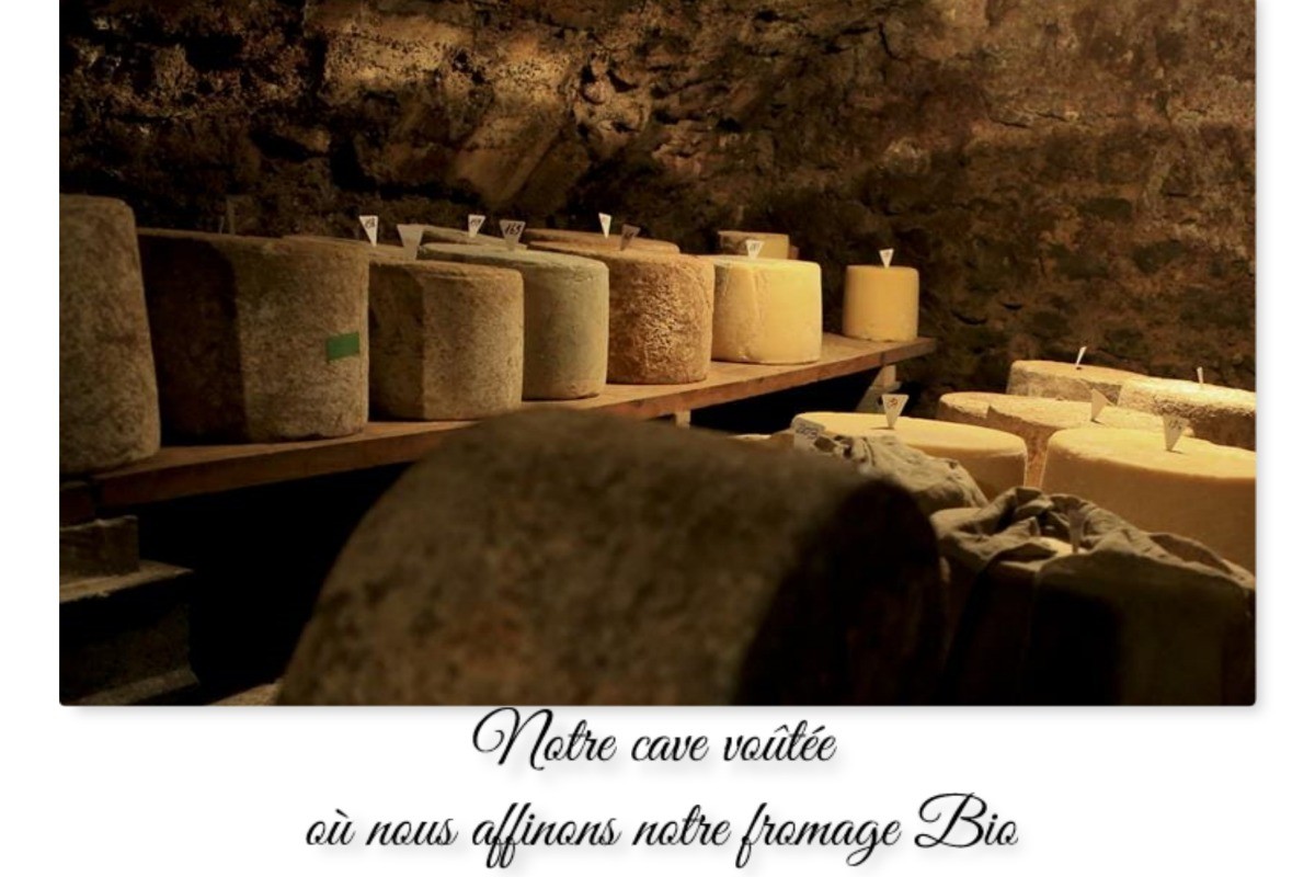 Notre production fromagère Bio issue de notre exploitation de vaches Laitières
