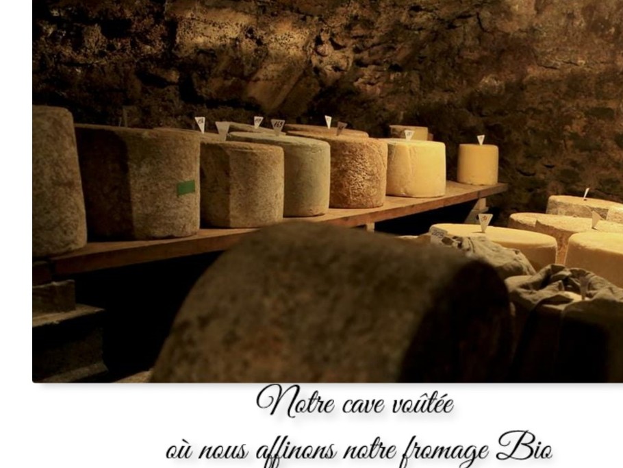 Notre production fromagère Bio issue de notre exploitation de vaches Laitières
