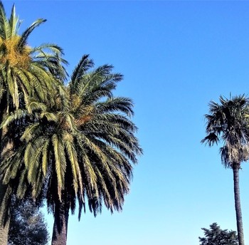 Photo n° 2 de la location