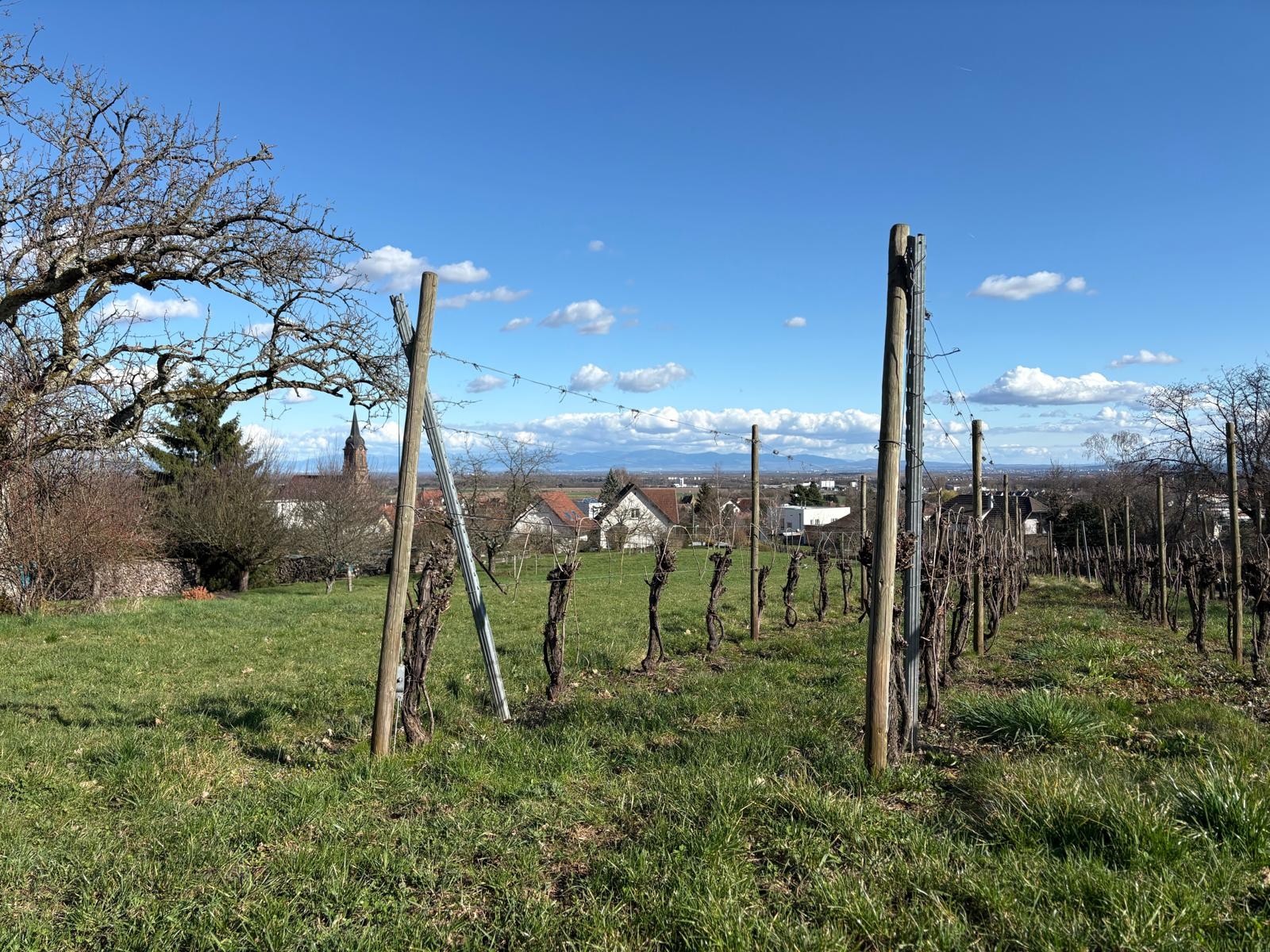 Photo n° 17 of the location