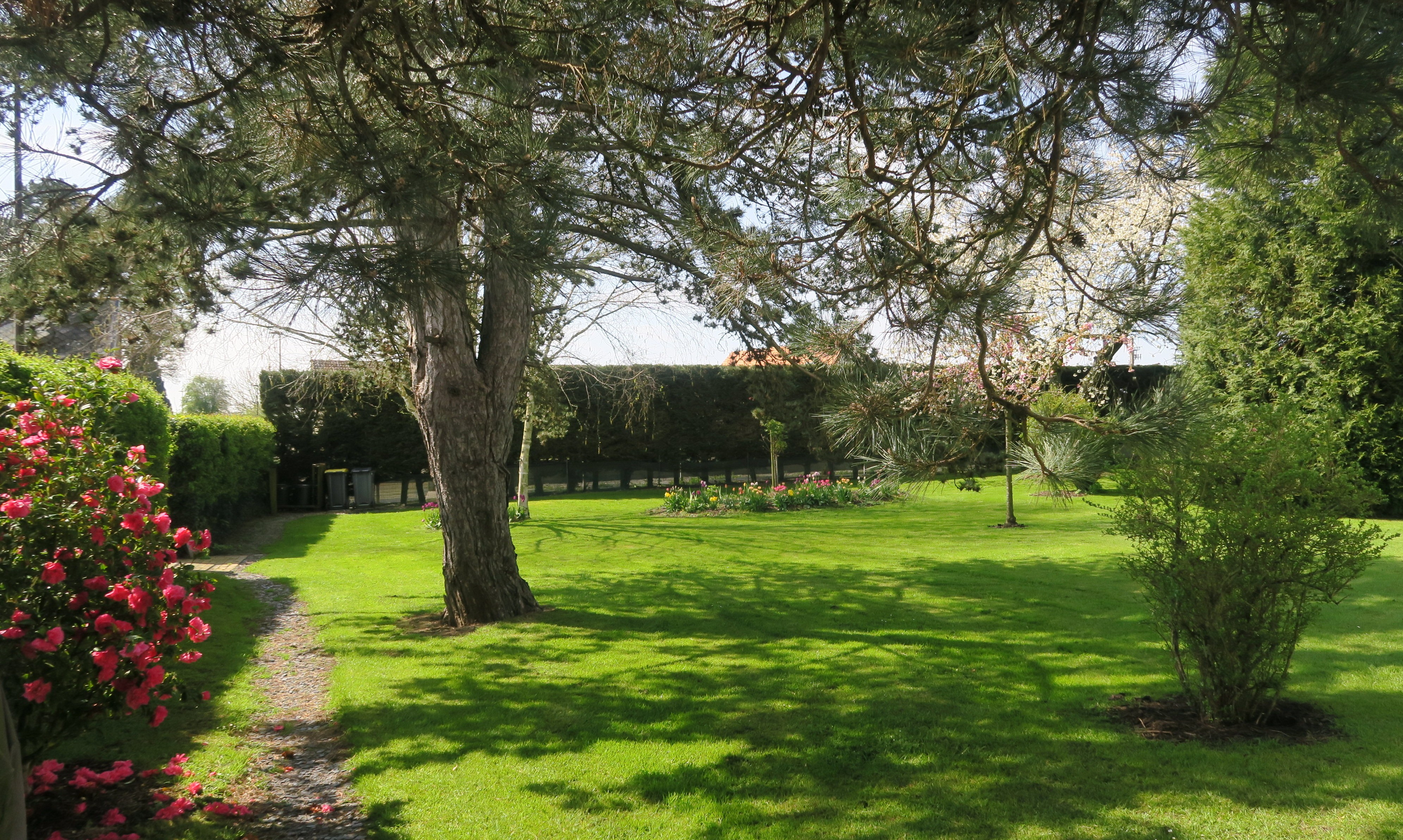 parc arboré