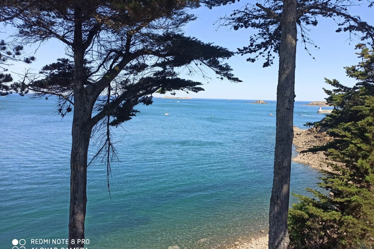 Photo n° 19 de la location