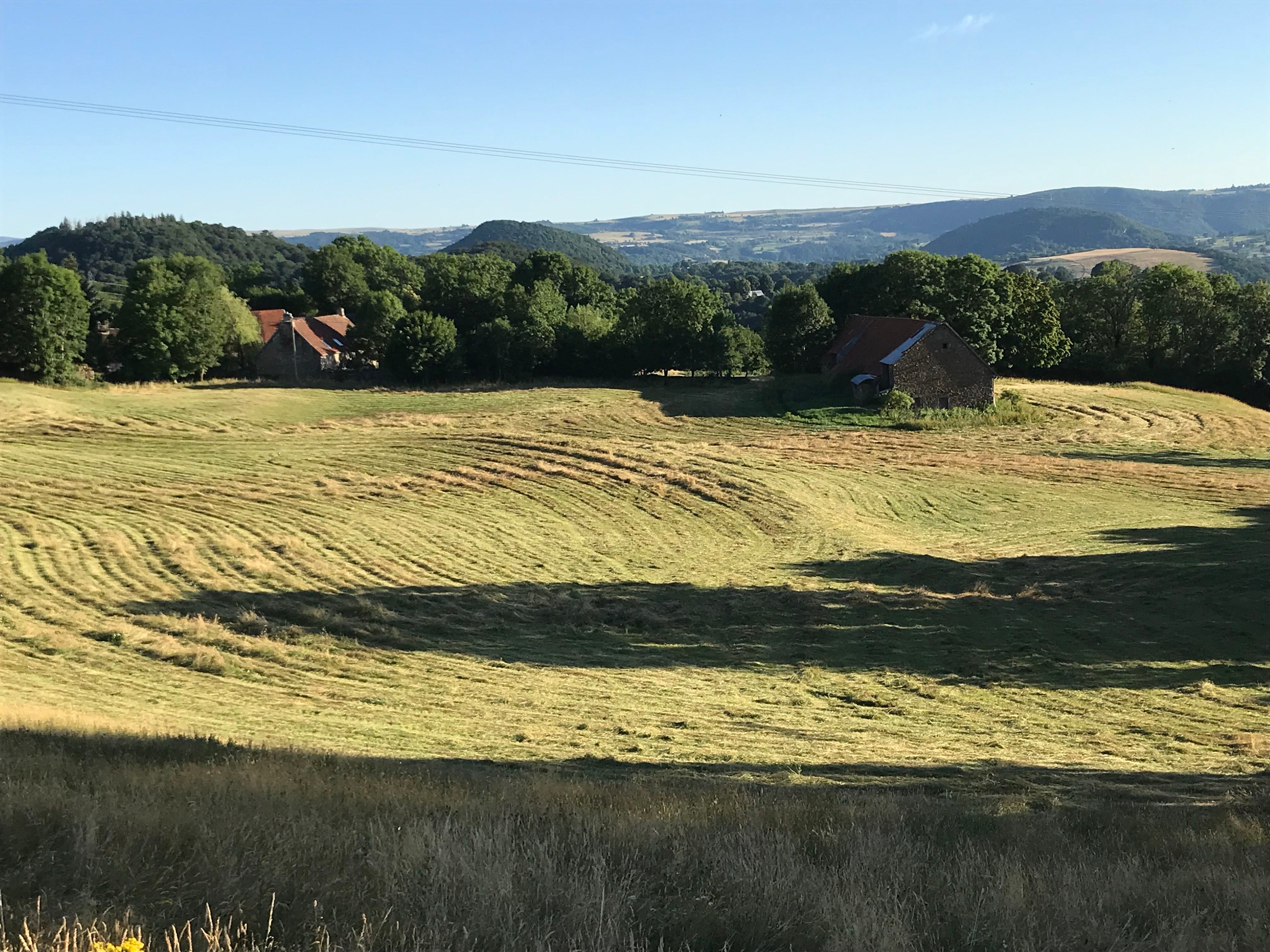 Photo n° 9 de la location