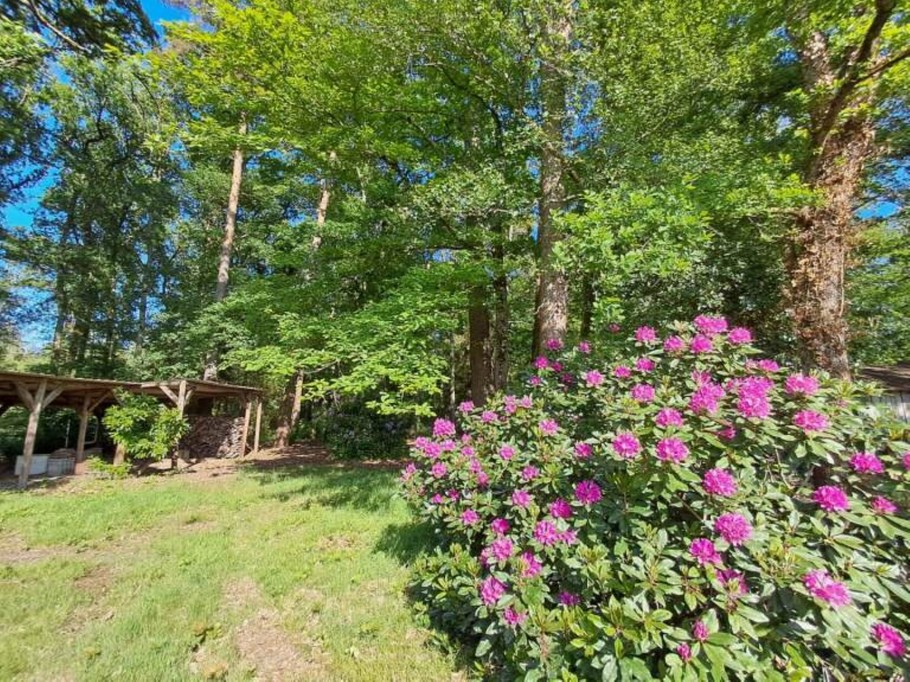Le jardin et la forêt de la propriété Du Côté de chez Souesmes en Sologne